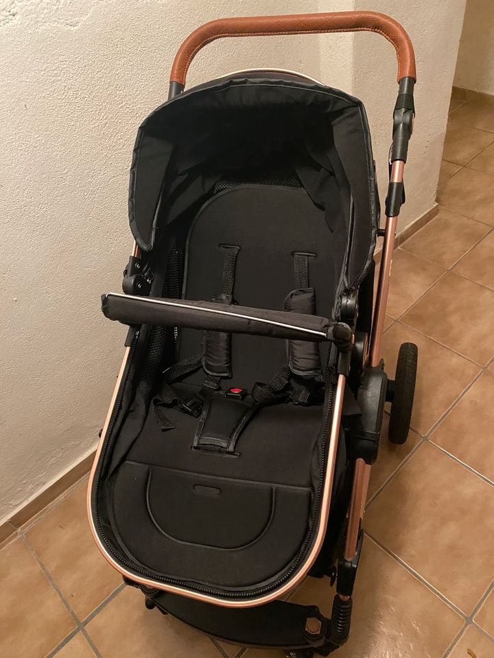 Kesser Kinderwagen in Zittau