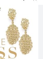 Ich suche diese Ohrringe the Kiss in Gold von Pierre Lang Mecklenburg-Vorpommern - Spantekow Vorschau