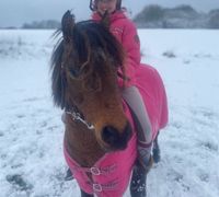 Wunderschönes Curly Horse Kinderpony Nordrhein-Westfalen - Ennepetal Vorschau