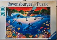 Puzzle Ravensburger 2000 Teile "Water Planet" Dortmund - Aplerbeck Vorschau