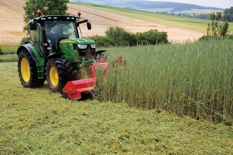 Mulcharbeiten Rodungen Mulchen Landschaftspflege Mäharbeiten in Oer-Erkenschwick