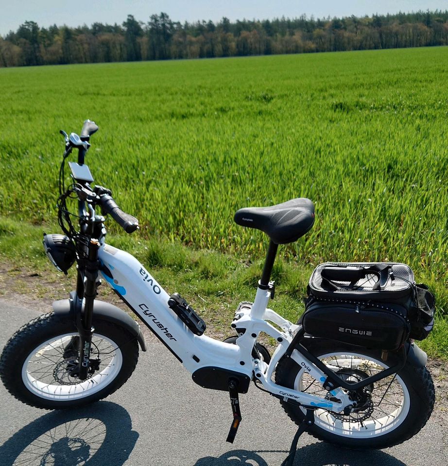 Damen E bike von Cyrusher in Cuxhaven