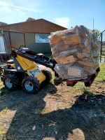 Stier Radlader Hoflader Miniradlader Schlepper Sachsen-Anhalt - Salzwedel Vorschau