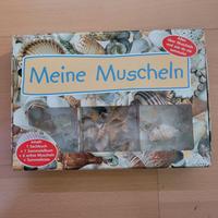 Muschel set Hessen - Elbtal Vorschau