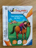 Tip toi Leserabe Buch das tollste Pony Dresden - Weixdorf Vorschau