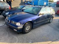 Schlachtfest BMW E 36 Autoverwertung Langbein Sachsen-Anhalt - Sangerhausen Vorschau