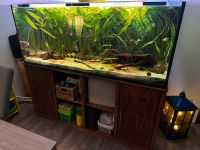 Aquarium 540L 150x60x60cm mit Unterschrank 2 Außenfilter Beleucht Schleswig-Holstein - Trittau Vorschau