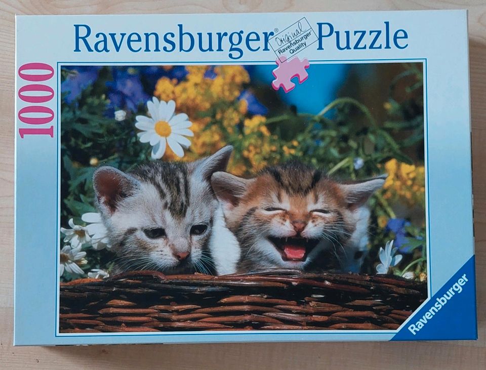 Puzzle 1000 Teile Katzen in Scheuring