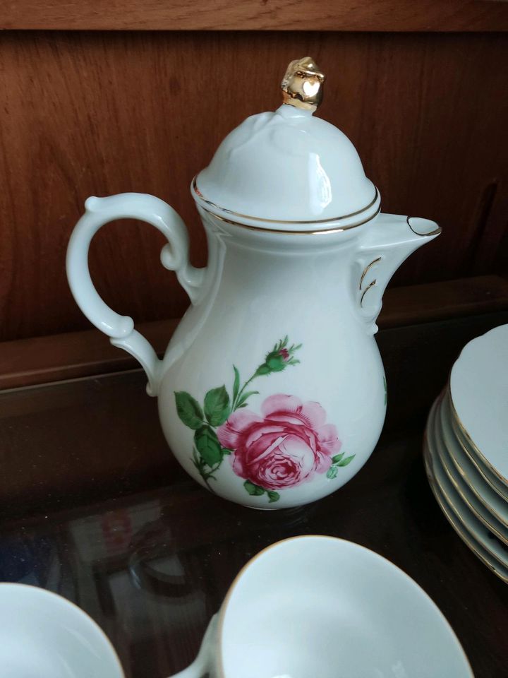 Bavaria Rose Kaffeeservice Vintage Teeservice Porzellan Goldrand in Pattensen