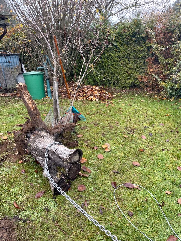 Vermiete Greifzug, Seilzug, Seilwinde, mit 20m Stahlseil  3,2to in Kalchreuth