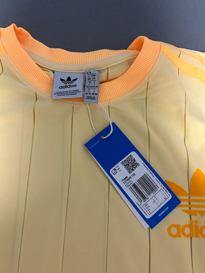 Adidas T-Shirt in Ellingstedt