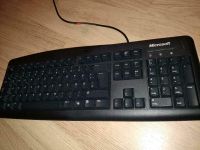 Microsoft Tastatur Niedersachsen - Bramsche Vorschau