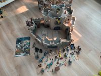 Große Playmobil Novelmore Sammlung Nordrhein-Westfalen - Langenfeld Vorschau