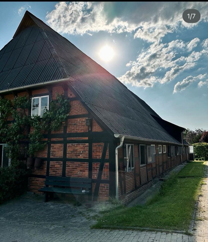 Pensionsstall hat Boxen frei! in Hanstedt