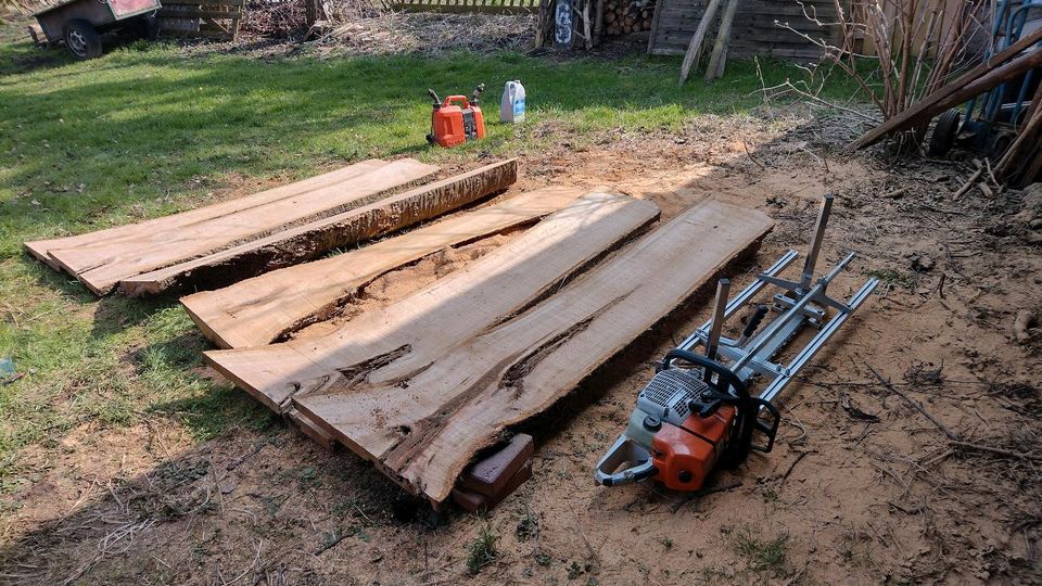 Baumschnitt/Baumpflege/Baumfällung/Obstbaumschnitt/Baumkontrolle in Osnabrück