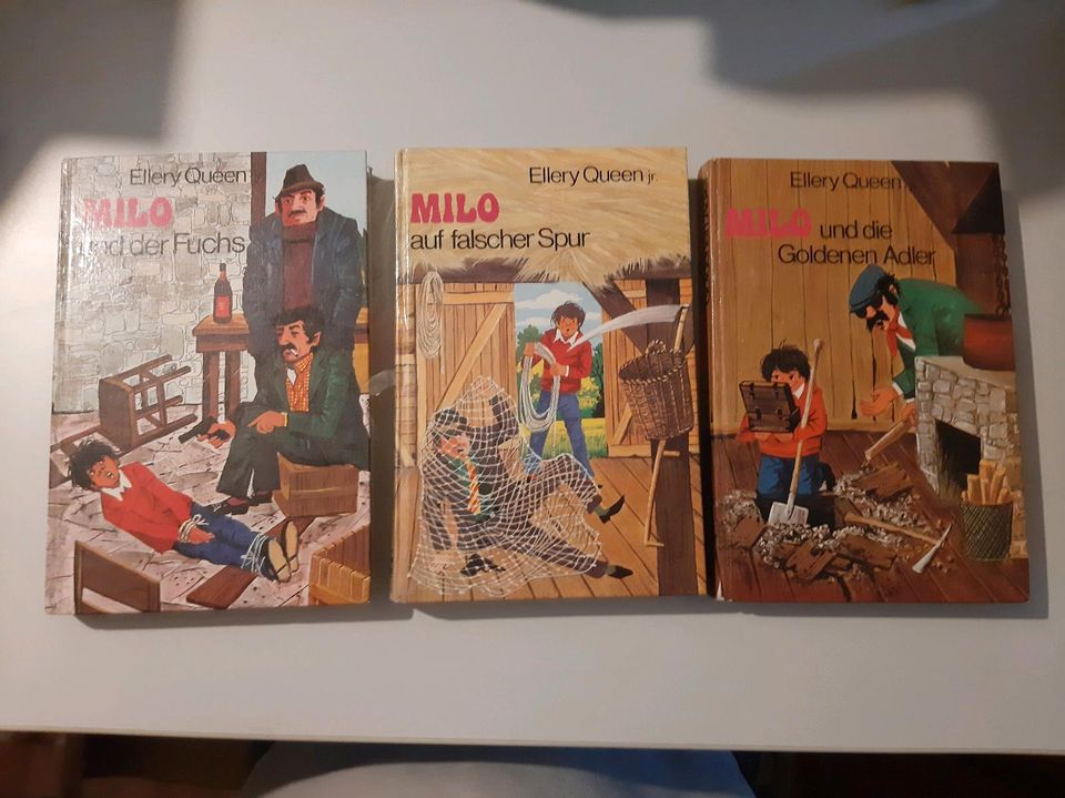 Alte Kinderbücher Dachbodenfund Kellerfund Milo Ellery Queen in Rostock