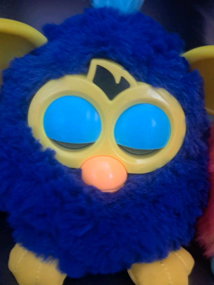 Tausche Furbys gegen Furby Fakes in Duisburg