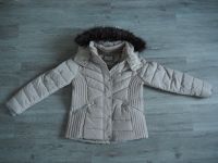 *NEU* Steppjacke, Jacke, Übergangsjacke, Beige, L, Tom Taylor Niedersachsen - Seevetal Vorschau