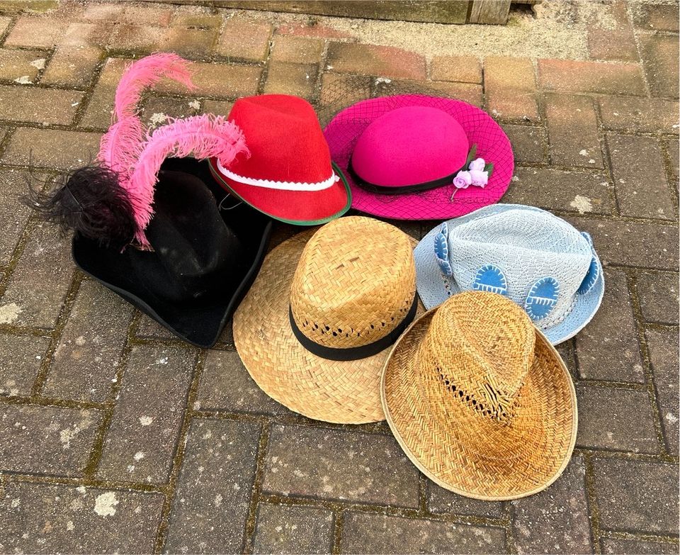 Hutsammlung, Hüte, verschiedene Hüte in Briesen (Mark)