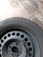 Reifen mit Felgen 175/65R15  SEMPERIT 3 Stück Nordrhein-Westfalen - Espelkamp Vorschau