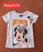 Disney T-Shirt Gr.116 Brandenburg - Steinhöfel Vorschau