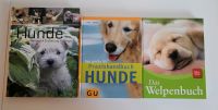 Fachbücher Hunde Sachsen-Anhalt - Schadeleben Vorschau