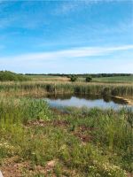 Ferienwohnung Wiesenblick Grambow Sonnenberg VG Mecklenburg-Vorpommern - Grambow Vorschau