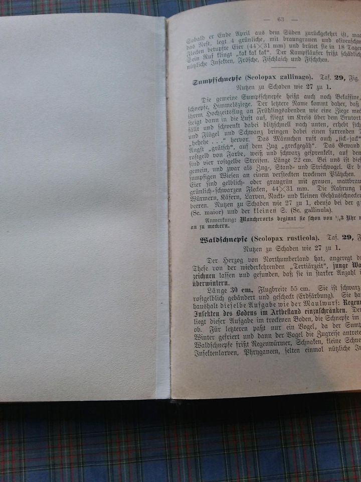 P. Wilhelm Schuster Unsere einheimischen Vögel in Hahnheim