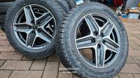 4x neu Allwetterräder All Terrain AT 18" Borbet Alufelgen Ducato Baden-Württemberg - Philippsburg Vorschau