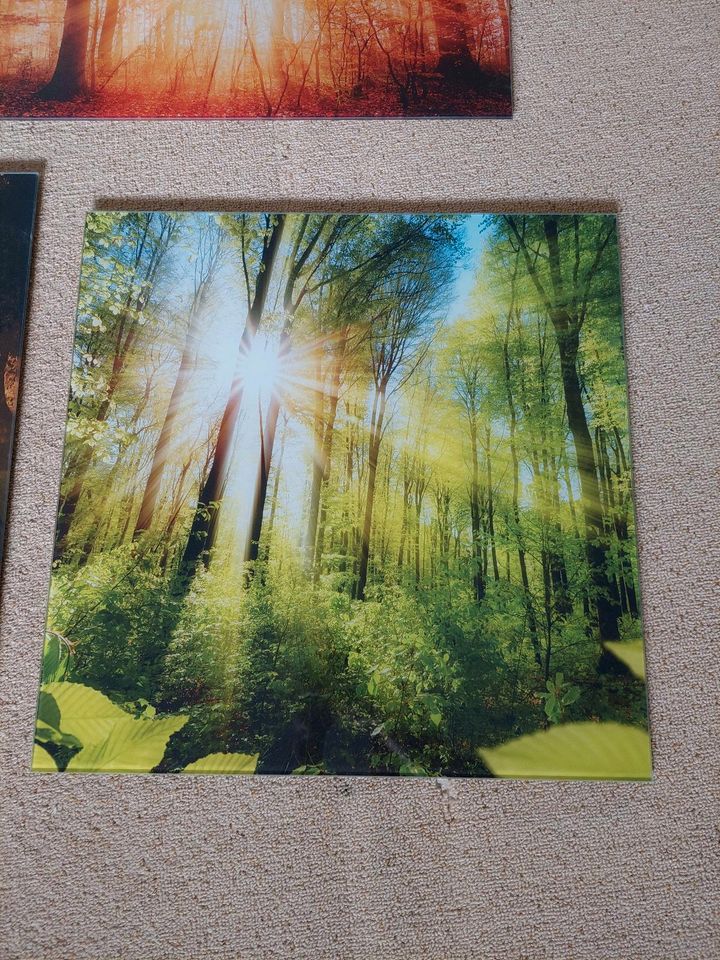 3 x Wandbild Glas, Bild in Lüneburg