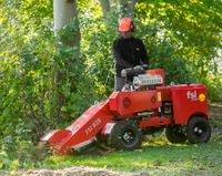 Baumstümpfe entfernen Hessen - Lollar Vorschau