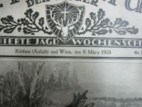 St.Hubertus Öster. Jagdzeitung 09.März 1928- 46. Jahrgang ,Nr. 10 Baden-Württemberg - Haslach im Kinzigtal Vorschau