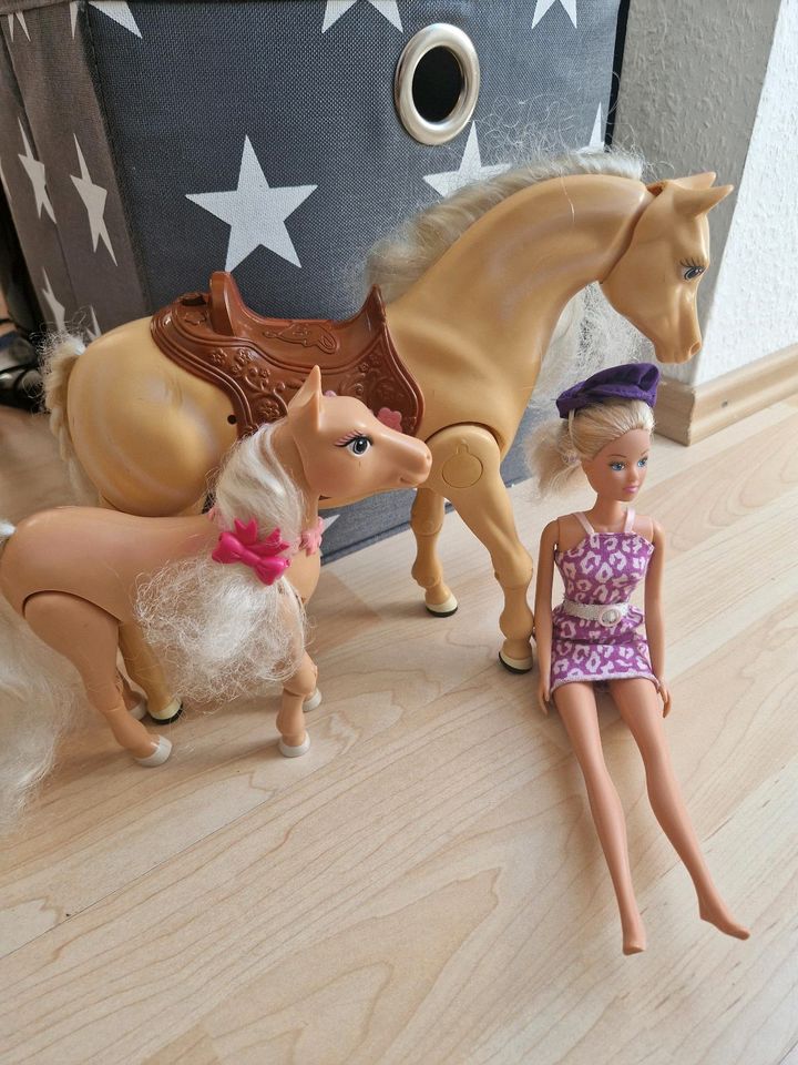 Barbie mit Pferden in Flensburg