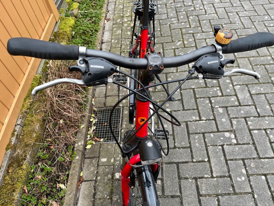 Pegasus Piazza Fahrrad Trekkingrad rot in Oldenburg