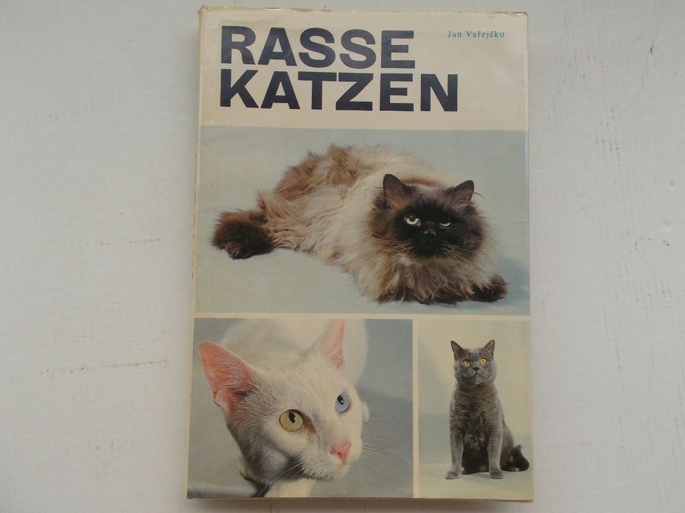 Katzen Buch ! in Neuruppin