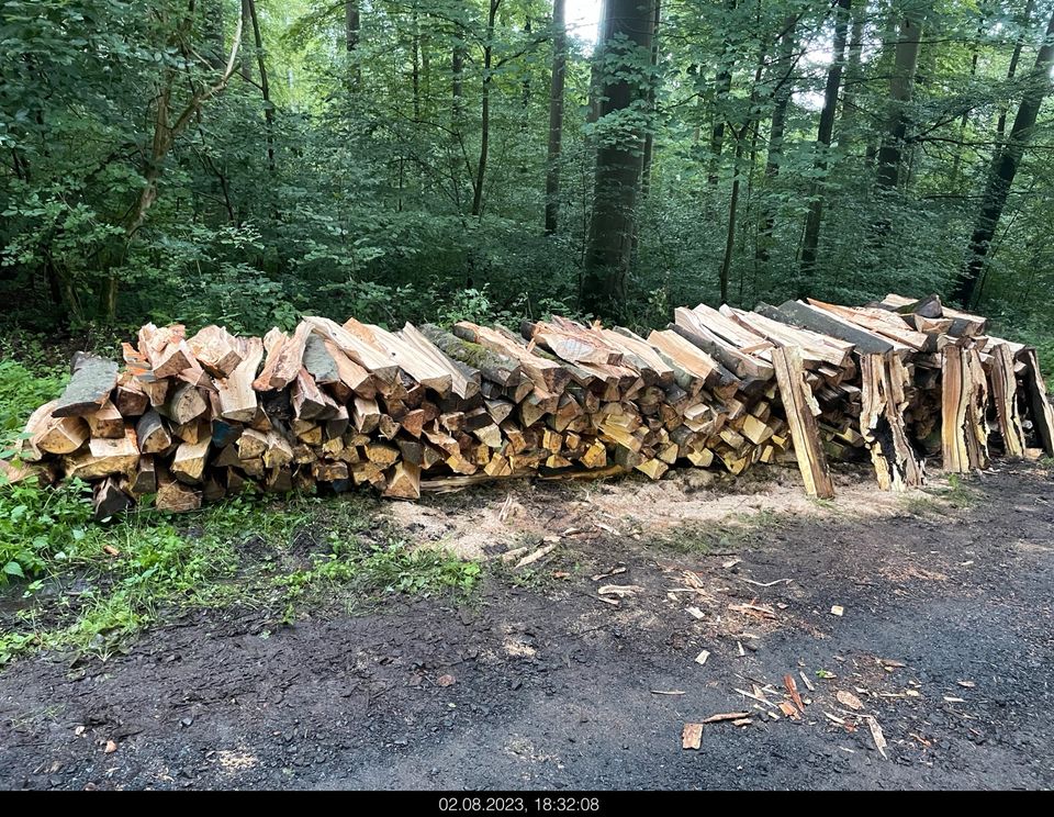 Holzgemeinschaft Selbstwerber Aufarbeitung Niedenstein+Umgebung in Niedenstein