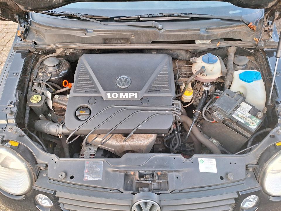 VW Lupo 1.0 Liter in Goch
