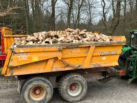 Feuerholz Brennholz Kaminholz Laubholz €/ srm Niedersachsen - Bad Fallingbostel Vorschau