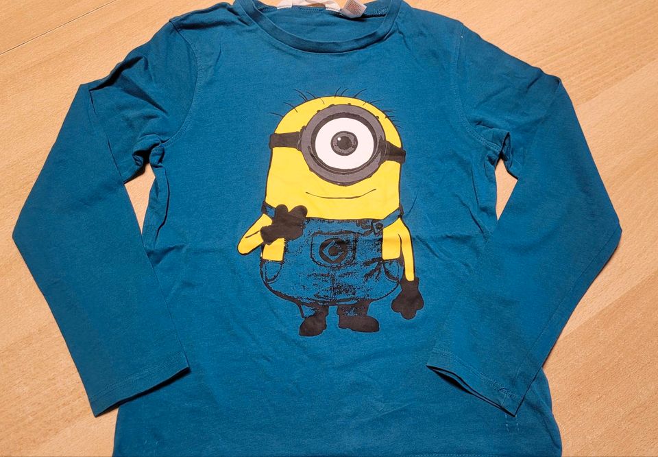 TMNT, Angry Birds, Minion Hoodie, Shirts Gr.128 in Lugau