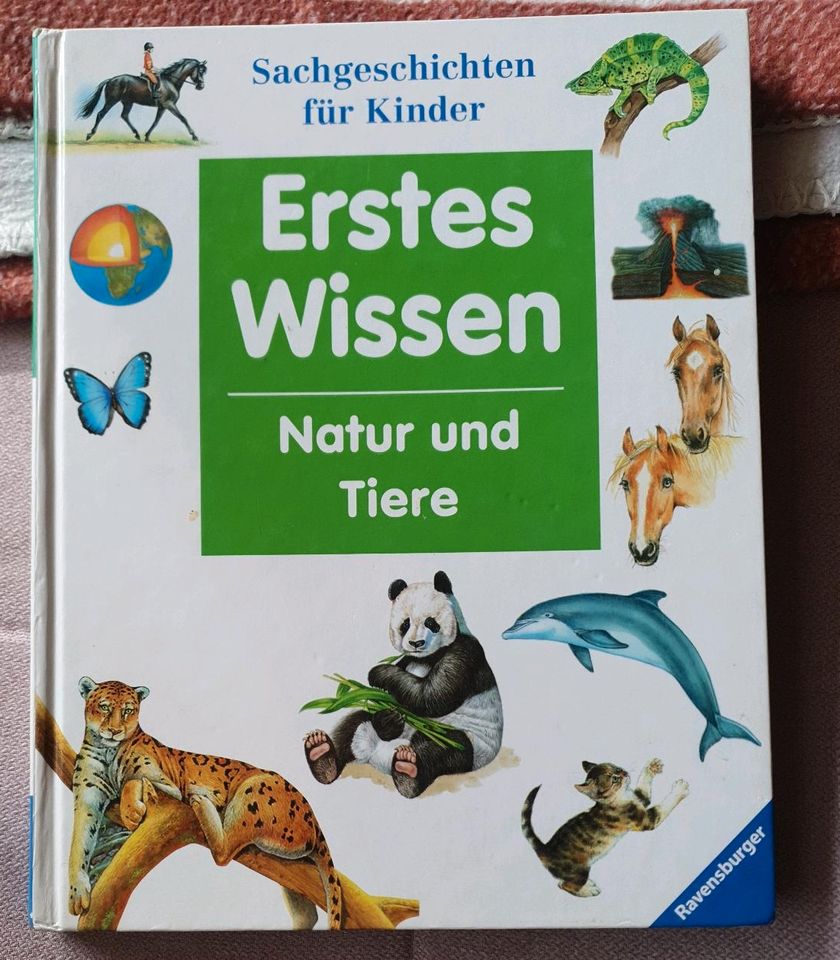 Wissenbücher für Kinder in Vellmar