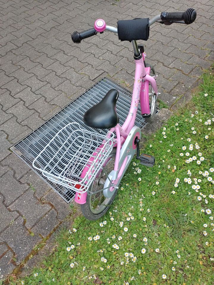 Puky Fahrrad Lillifee 16 Zoll in Mannheim