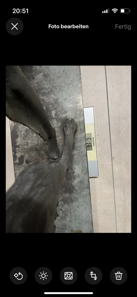 Bronze Skulptur Barsoi Lebensgroß 62kg in Neuss