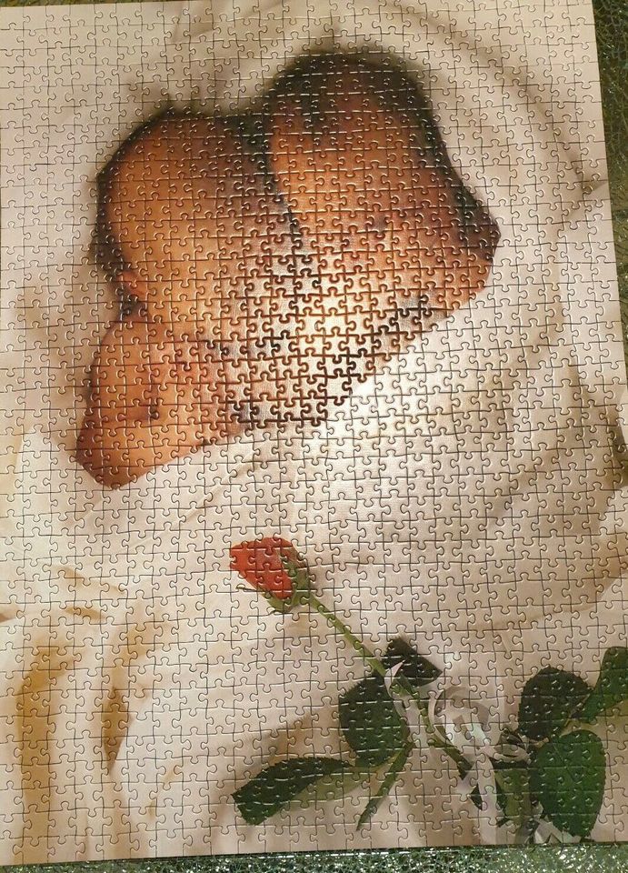 Anne Geddes Puzzle 1000 Teile Babys in Salzgitter