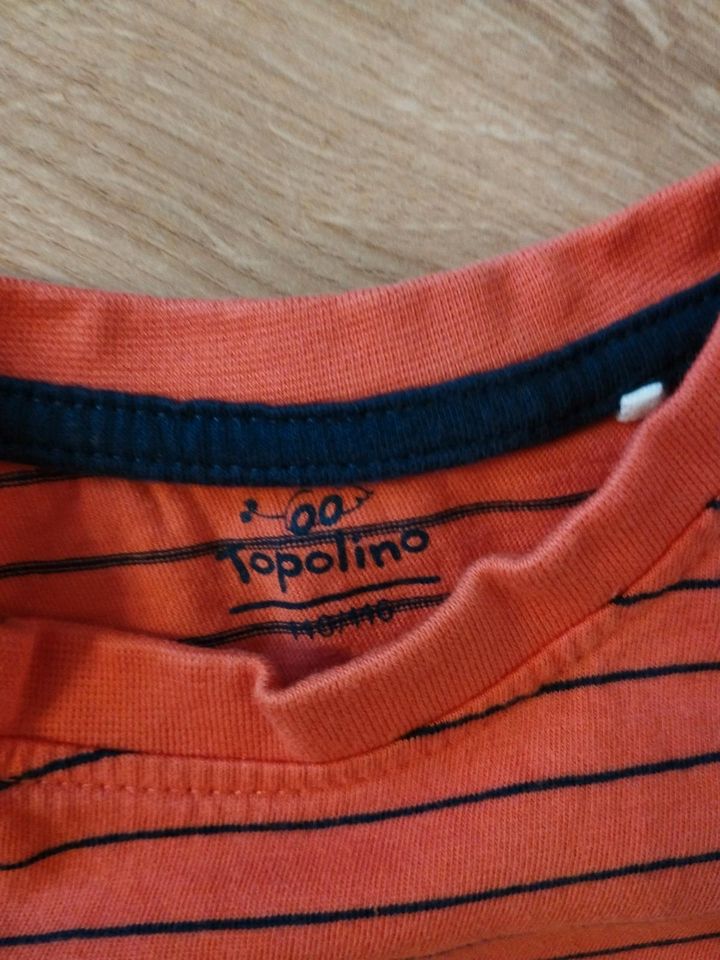 Topolino Jungen Shirts Set Größe 110 in Gollhofen