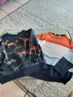 2 × Gr 98/104 von H&M Sweatshirt + Pulli Nordrhein-Westfalen - Dinslaken Vorschau