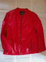 Kunstlederjacke Damen Gr. 46 rot Nürnberg (Mittelfr) - Nordstadt Vorschau