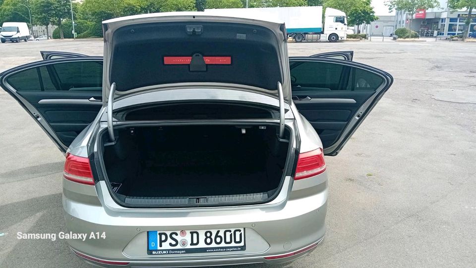 Volkswagen Passat in Pirmasens
