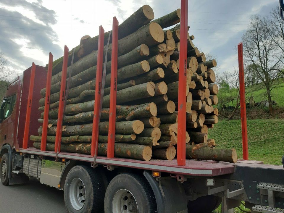 Brennholz - Kaminholz 1,2 Rm Buche  " Vorgelagert " in Schmalkalden