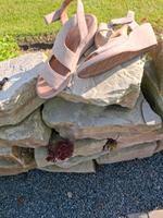 Sommerschuhe Krummhörn - Rysum Vorschau