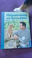 Welpentraining mit Martin Rütter Niedersachsen - Oldenburg Vorschau